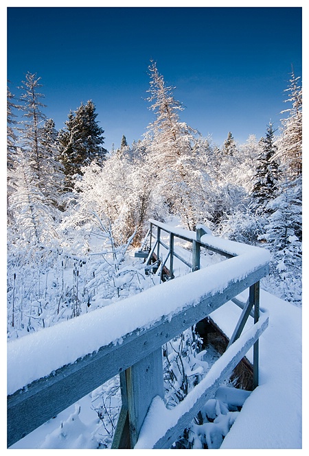 Winter Bridge, Cypress Hills SK - ID: 9500301 © Jim D. Knelson