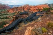Snow Canyon, UT
