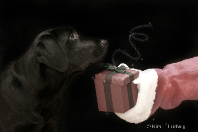 "Yes Santa......