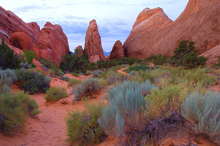 Arches National Park - ID: 9504702 © Donald R. Curry