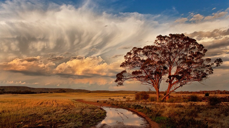 Approaching storm