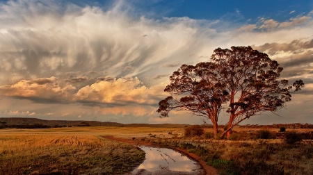 Approaching storm