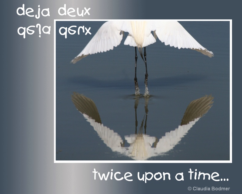 - ID: 9507219 © Claudia/Theo Bodmer