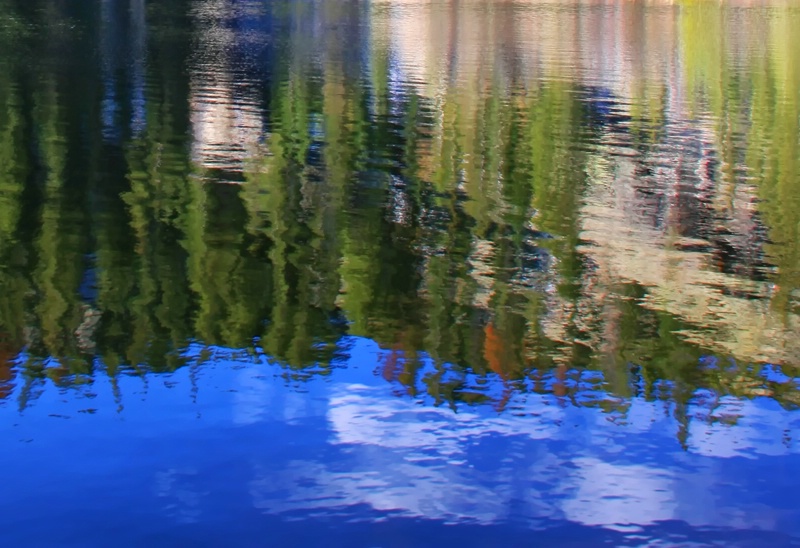 Bear Lake Reflected