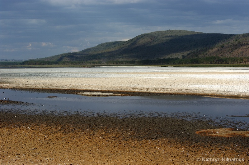 Lake Nakuru - ID: 9510045 © Kathryn R. Kilpatrick