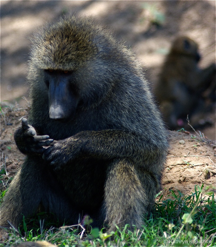 Counting - ID: 9510078 © Kathryn R. Kilpatrick