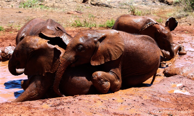 Playtime - ID: 9510121 © Kathryn R. Kilpatrick
