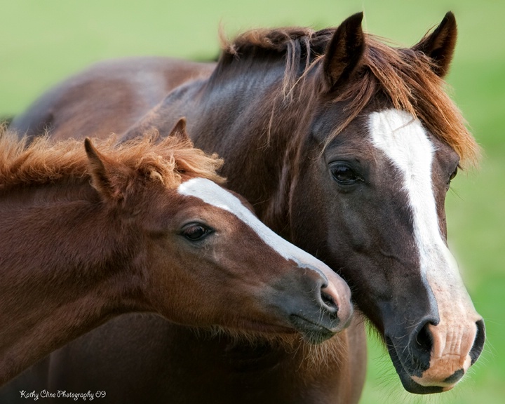 BABY KISS