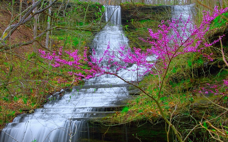 Fall Hollow Falls - ID: 9513471 © Donald R. Curry