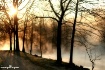 Beside Halcyon Wa...