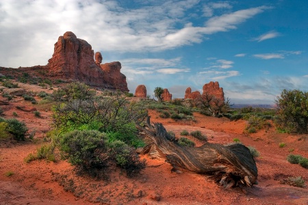 Arches National Park