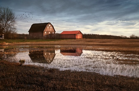 Two Barns