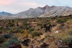 Snow Canyon, UT