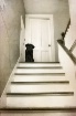 Upstairs