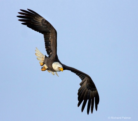 Aerial Display