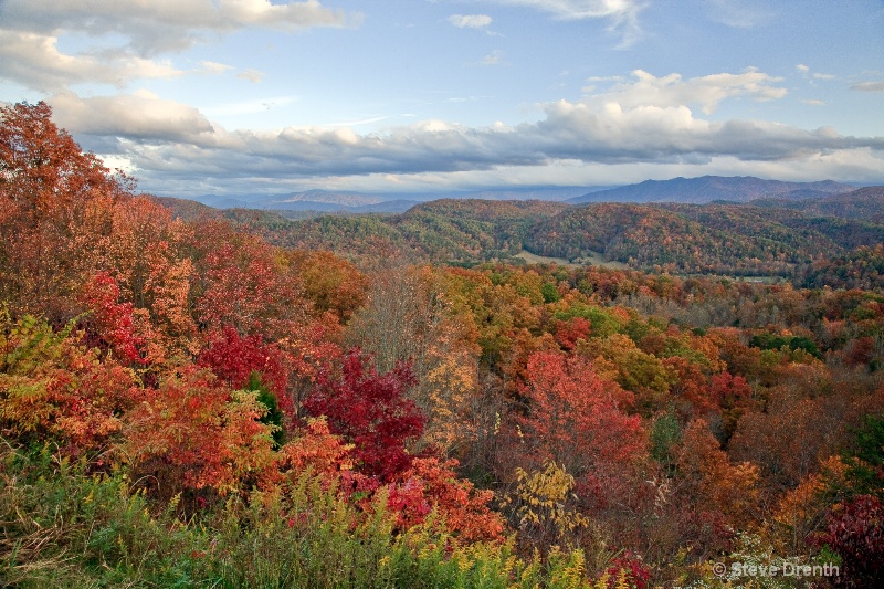 Fall color in the mountains