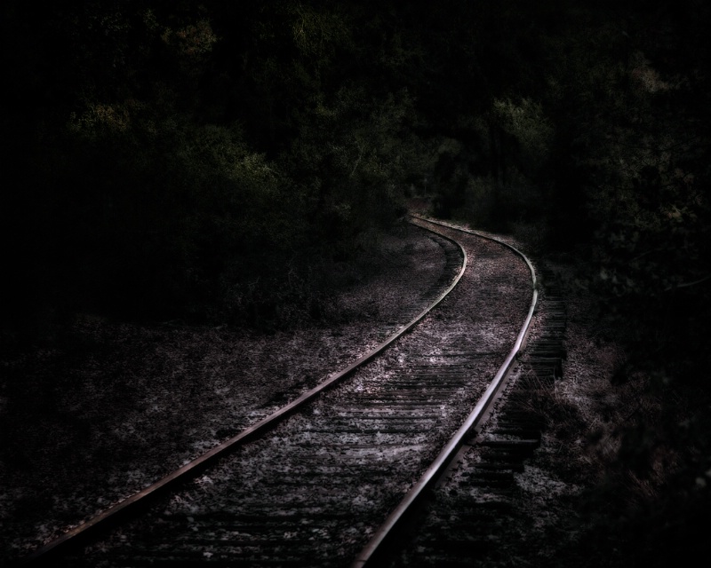 Midnight Ride To Nowhere - ID: 9544110 © Susan M. Reynolds