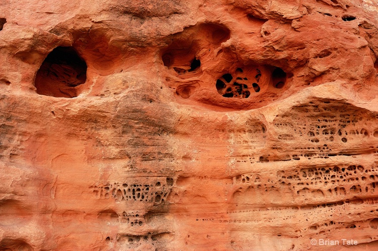 Desert Rock Detail
