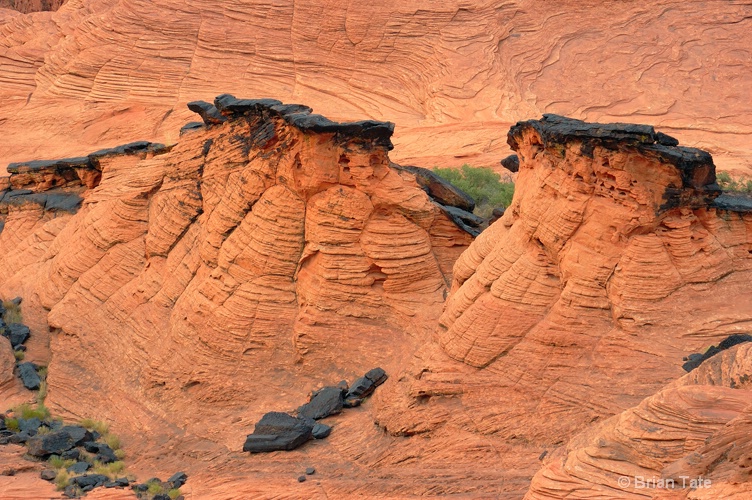 Lava Rock Mohawk, Snow Canyon, UT