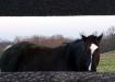 Are you blurring ...