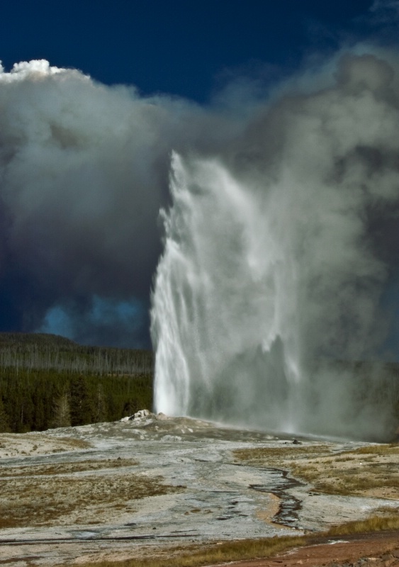 Old Faithful - ID: 9551491 © Patricia A. Casey