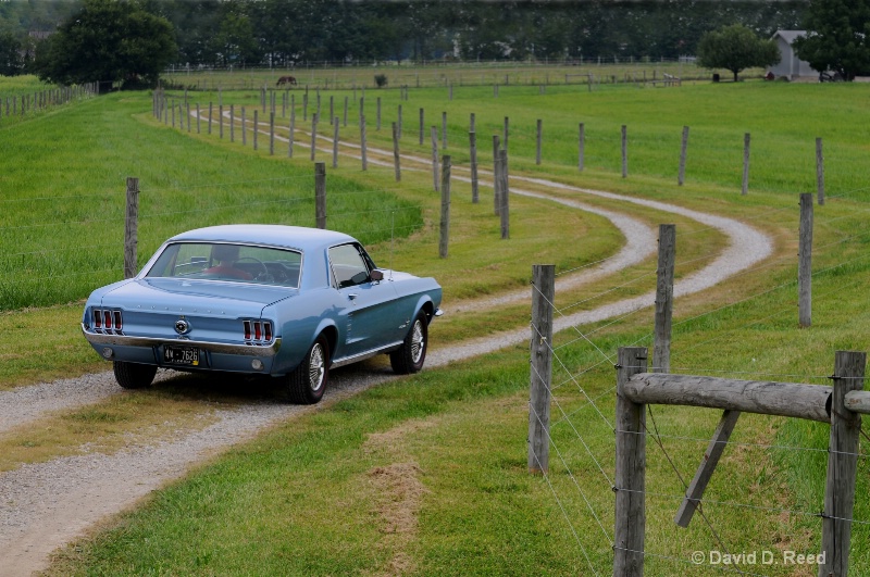 Mustang Ranch - ID: 9552662 © David D. Reed