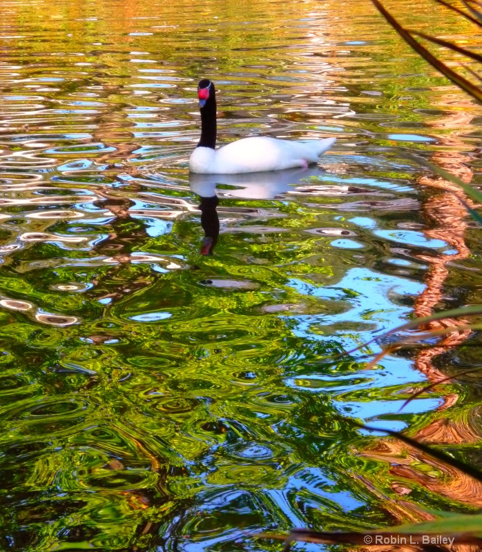 Patiently Wading...