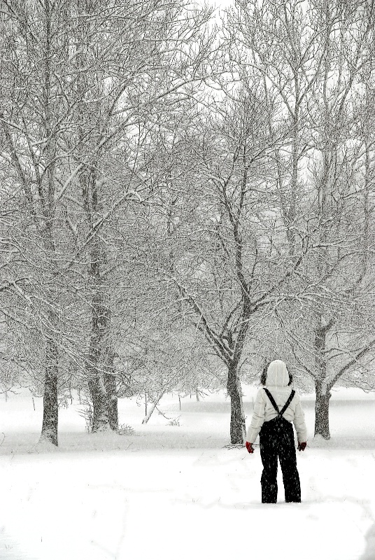 Niani and the snow