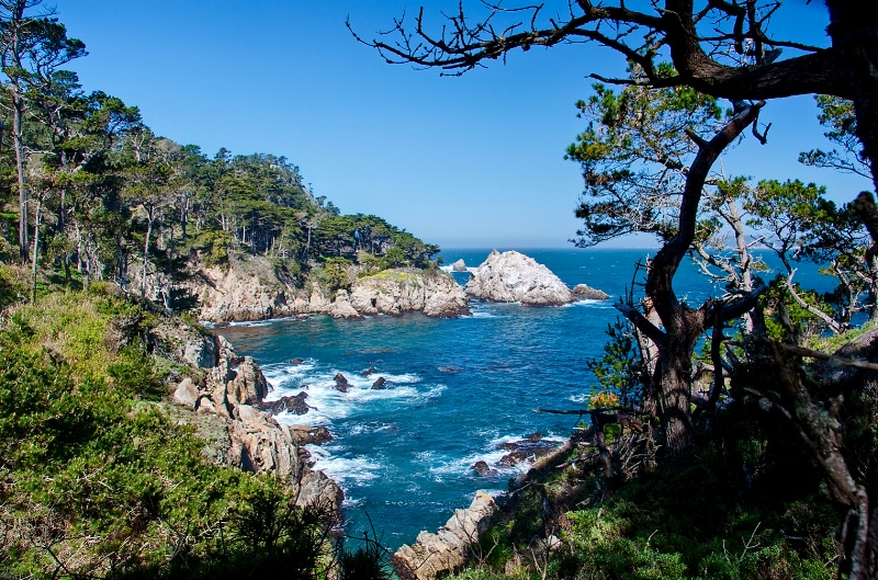 Point Lobos State Park