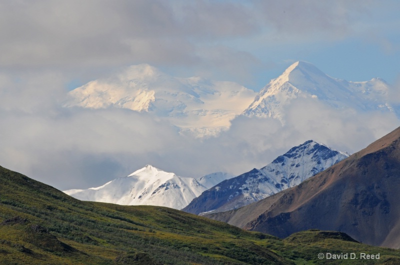 Denali  (Mt. McKinley) - ID: 9562394 © David D. Reed