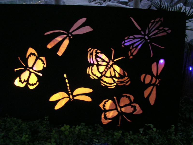 2009 zoo lights