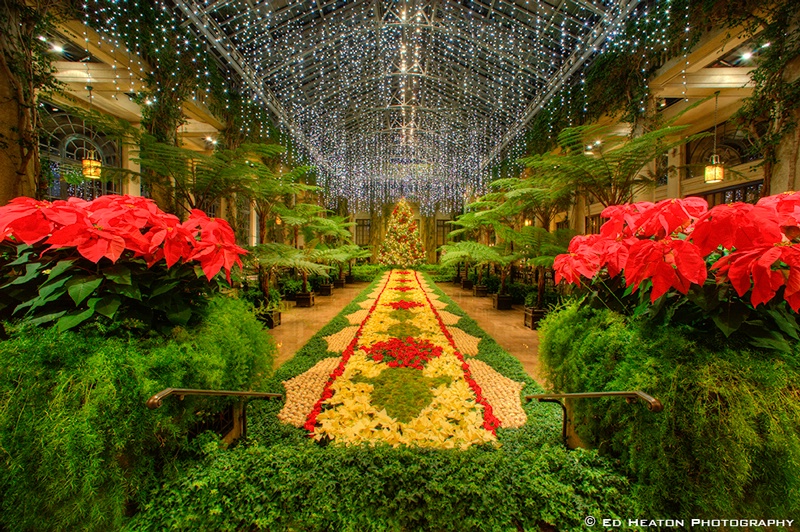 Longwood at Christmas