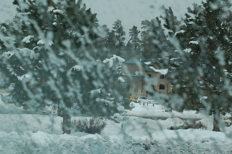 Blizzard in Flagstaff