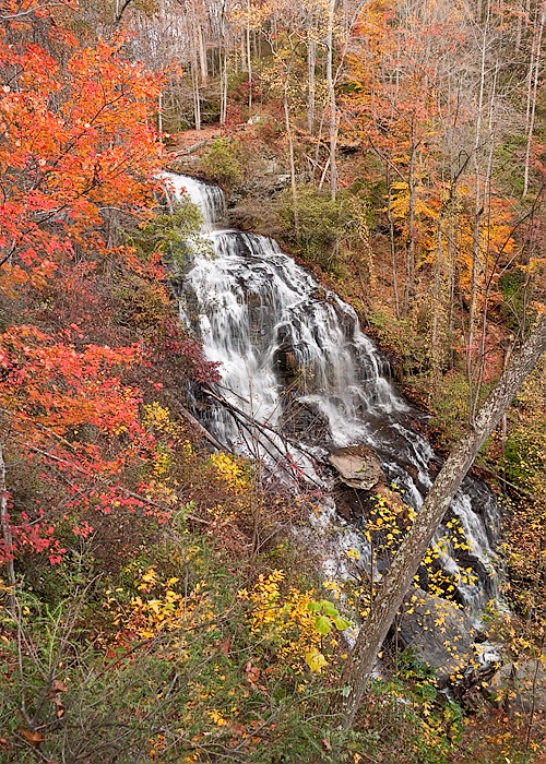 Issaqueena Falls, Oconee Co., NC - ID: 9574361 © george w. sharpton