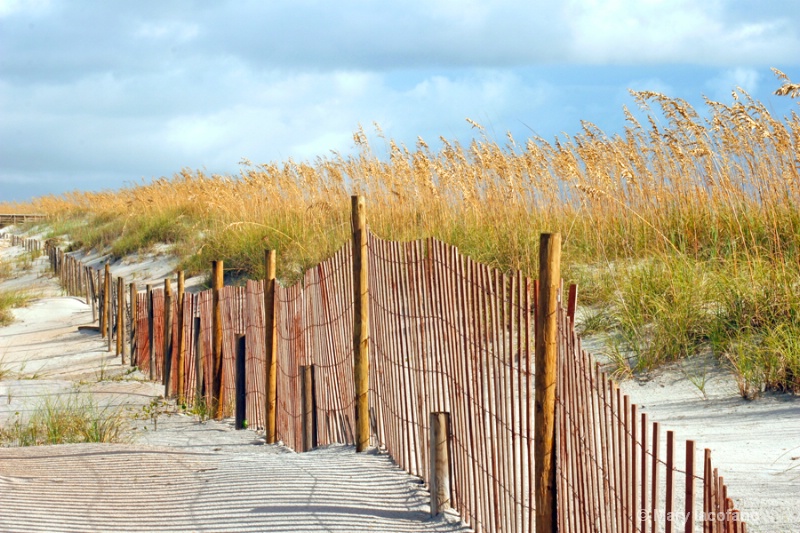 Stormy Sand Dunes