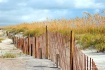 Stormy Sand Dunes