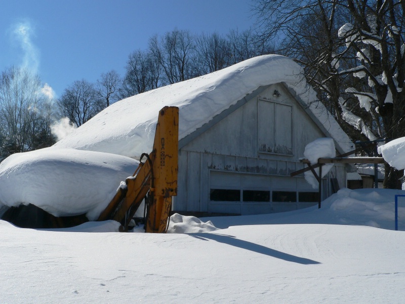 Who's turn to shovel!