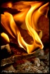 Fire Abstract