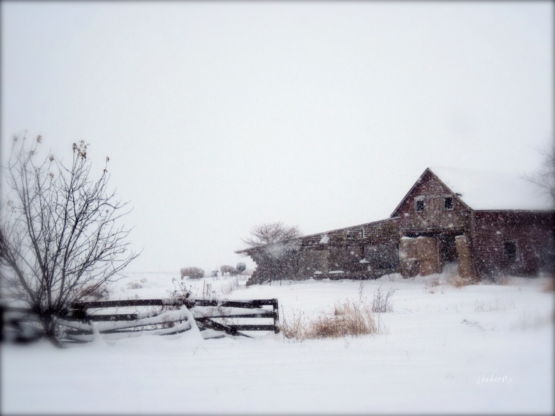 ~The Old Barn~