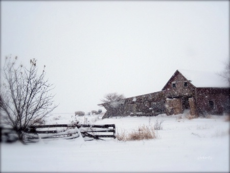 ~The Old Barn~
