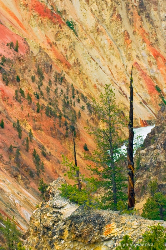 Colours of the Yellowstone River.<p> - ID: 9580992 © Yulia Basova