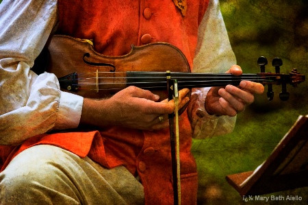 The Violinist