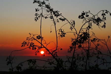 Fiery Night Sky