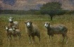 Sheep in the mead...