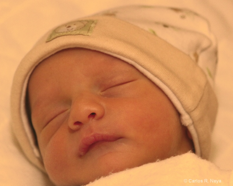 Brand New Baby Boy Twin - ID: 9596464 © Carlos R. Naya