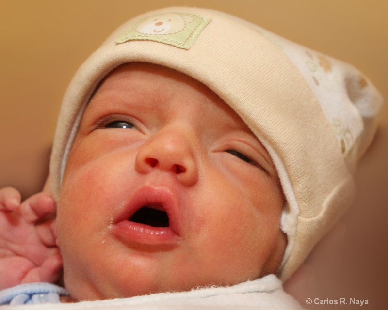 Brand New Baby Boy - ID: 9596469 © Carlos R. Naya