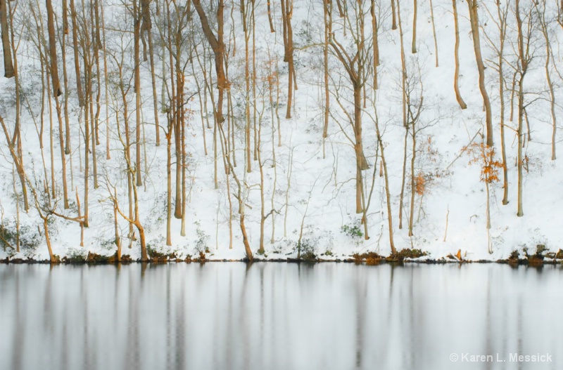 Snowy Hillside