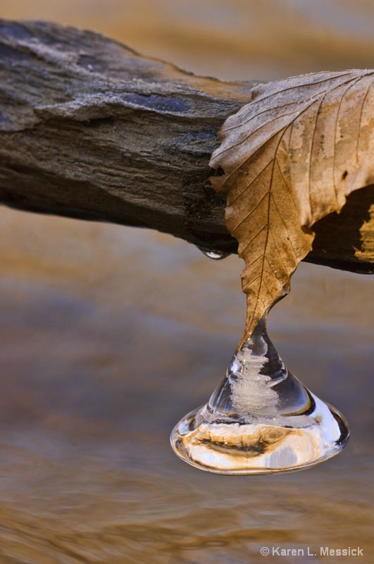 Between Fall and Winter - ID: 9599372 © Karen L. Messick