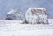 Rural Winter
