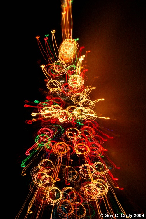 Christmas Tree 2009